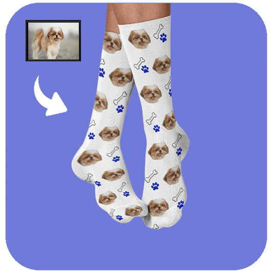 Śmieszne Skarpetki z Pupilem Kostki