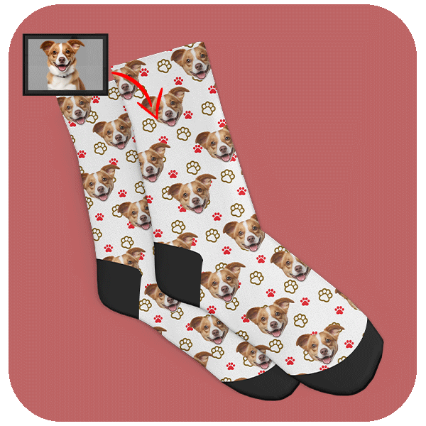 Skarpetki z Pieskiem i kolorowymi łapkami