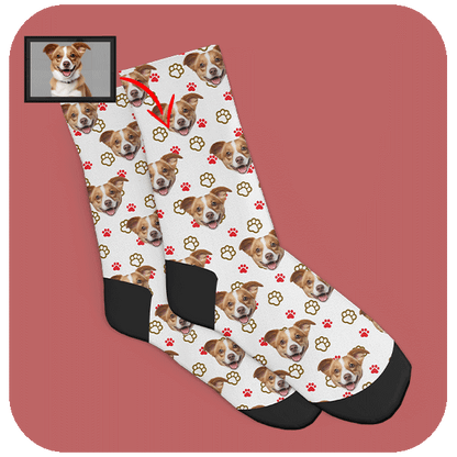 Skarpetki z Pieskiem i kolorowymi łapkami