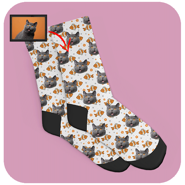 Skarpetki z Twarzą Kota i Złotymi Rybkami