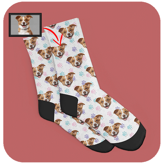 Kolorowe Skarpetki ze Zdjęciem Pupila