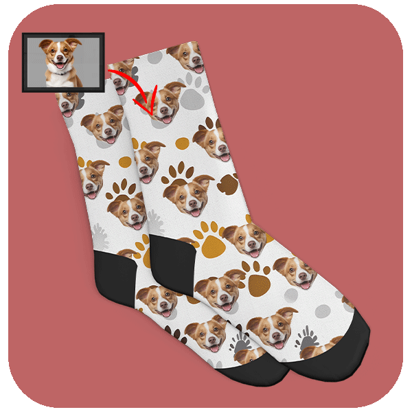 Skarpetki z pieskiem w pastelowych odcieniach